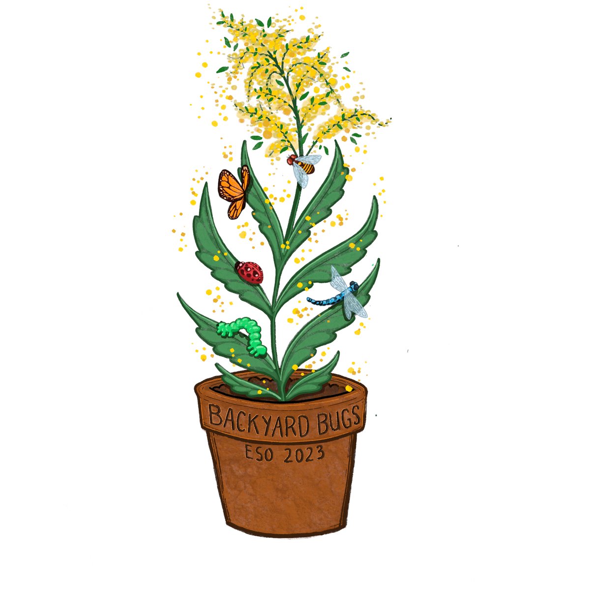 Laura Timms tweet media