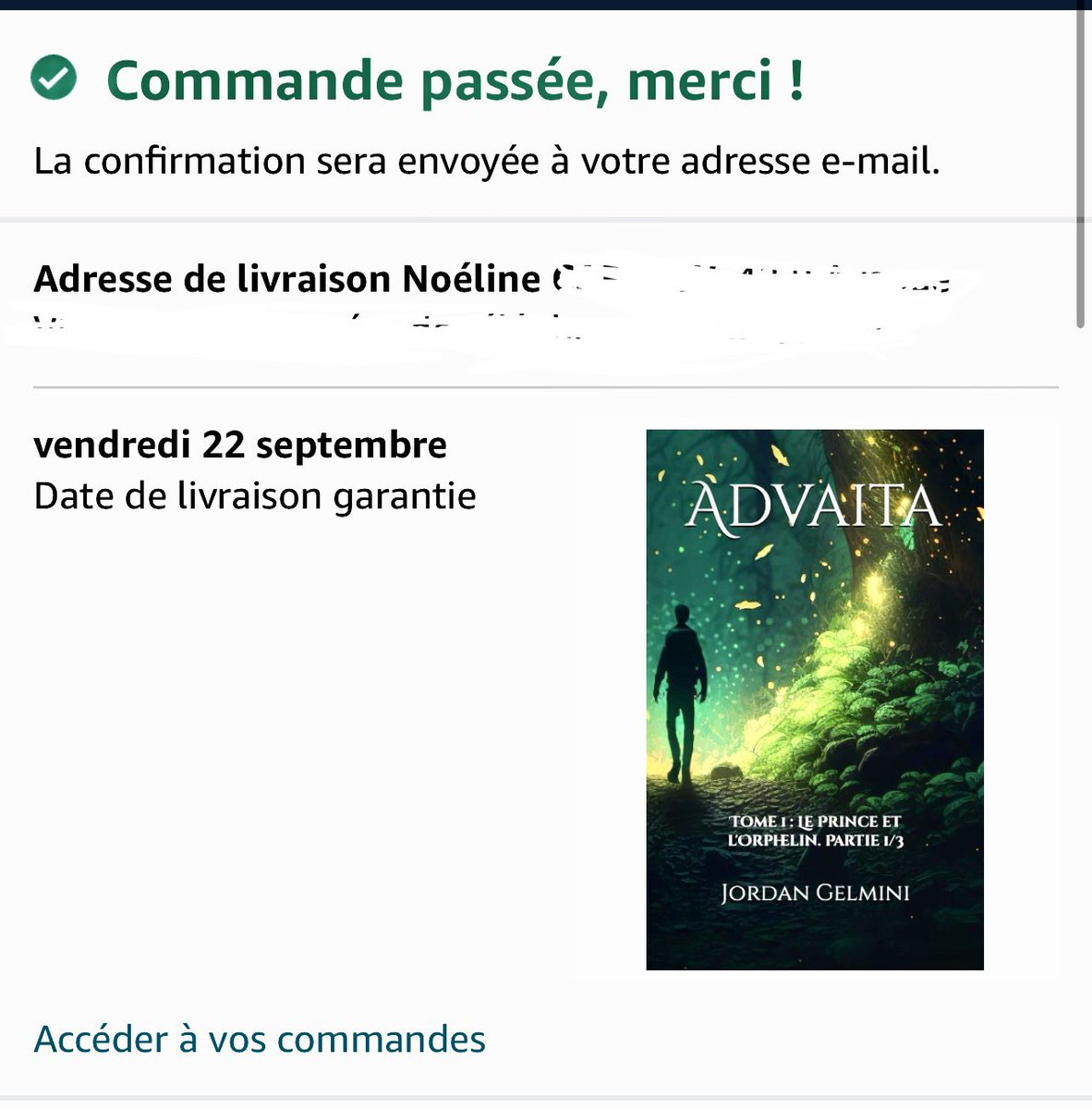 <a href="/AdvaitaUnivers/">Advaita</a>  je me suis remise à la lecture depuis août et je me suis dis que c’était l’occasion de commander ça ! Ce soir j’ai eu une illumination soudaine 😂