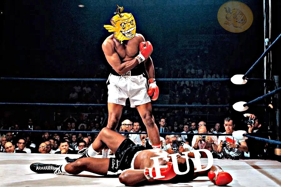 CCypher10152's tweet photo. Investing in cryptocurrencies like $MLC can be an exciting opportunity. #MallowCoin has shown resilience against FUD (Fear, Uncertainty, Doubt) in the past & to-date.
The team keeps on building even during this bear market.
it's important to remember that the crypto market is highly speculative and volatile.
Telegram: https://t.co/sceNzEA07c
Dextools: https://t.co/OjAoweAt42
$tip
@tipcoineth