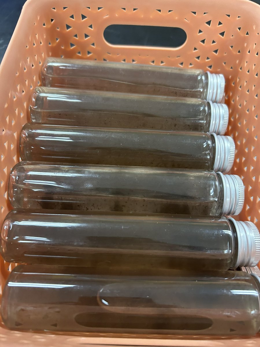 moliveira5757's tweet photo. Uncertainty followed, almost  immediately,  by self-celebration might be my new favorite thing about teaching. Our knights used handmade filters to clean some of our own dirty water. Check out those results 👀👏🏼
#ALMOSTcleanenoughtodrink https://t.co/VcnOhxYfH2