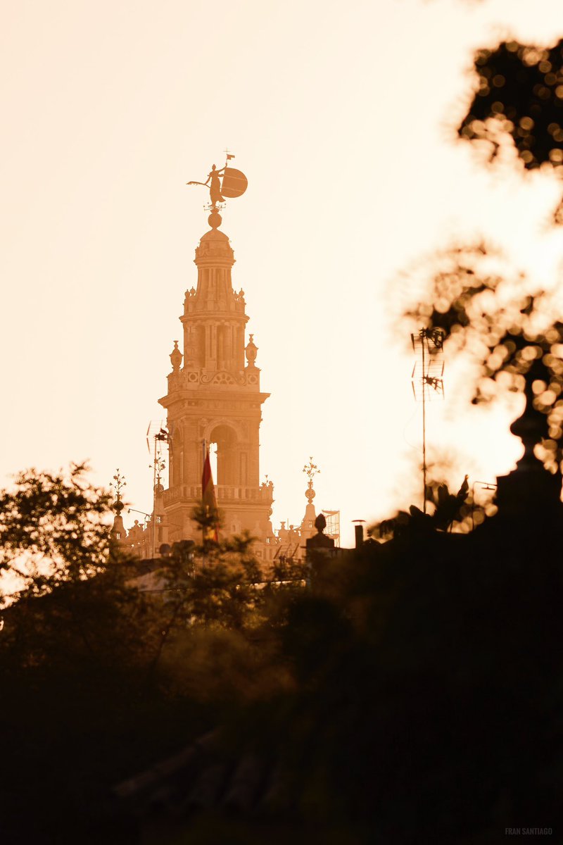 fransantiph's tweet photo. La luz de media tarde. https://t.co/xMOkspFbuO