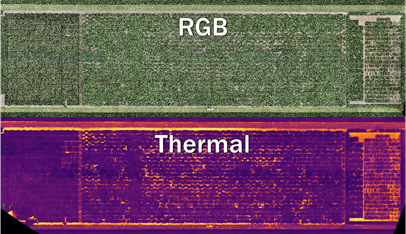 Purdue Plant Science tweet media