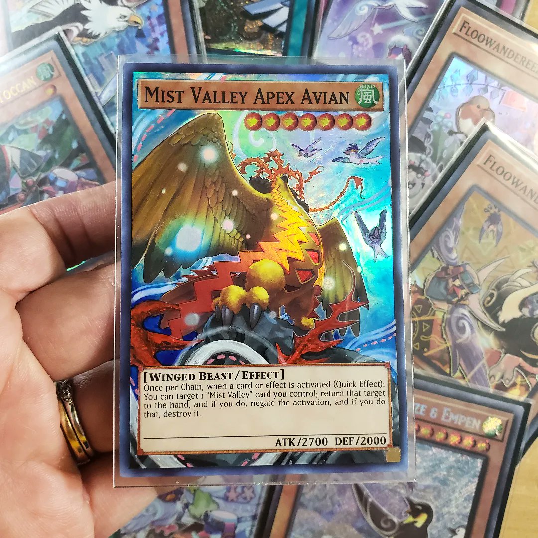 artofthecards's tweet photo. Love my birbs. They need more travel buddies/destinations. #yugioh #floowandereeze https://t.co/kN7Wf1XtMo