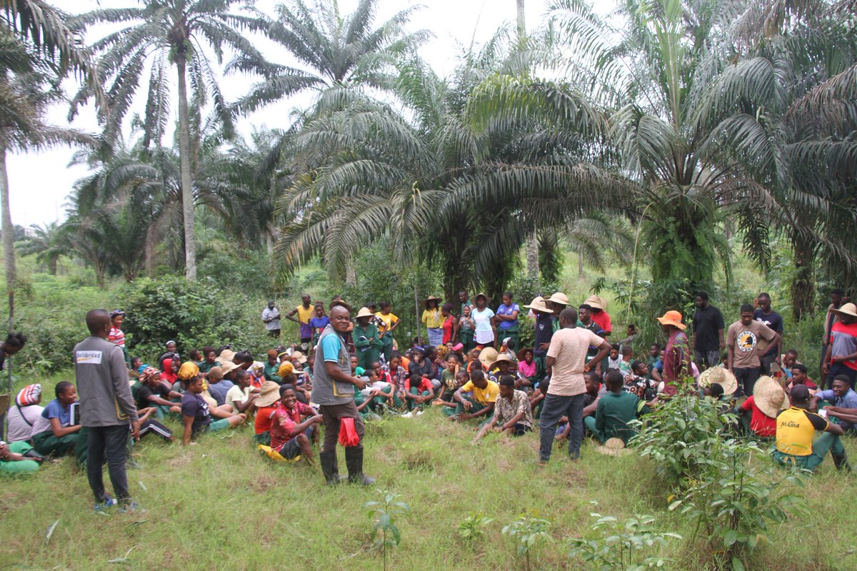 Solidaridad_wa's tweet photo. Solidaridad has completed a 3-day capacity building session for 150 students of @INSIDE_AKSU, on #oilpalm best management practices, as part of practical skill acquisition for the students of the faculty of agriculture. This is under #NISCOPS funded by @NLNetherlands & @Henkel. https://t.co/B2PBj1W4UZ