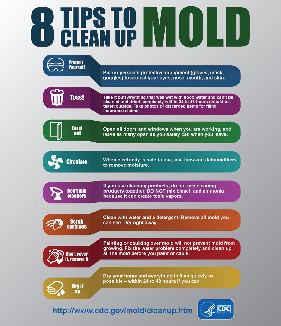 salam_rasha's tweet photo. A4b: These Three Steps are Essential in Combating #HospitalAssociated #Mold #Infections

- Prioritise hand hygiene.
- Isolate at-risk patients.
- Educate professionals on mold risks.
#OpenMyc #FungalWeek23 @MSG_ERC @CDC_NCEZID https://t.co/y4P1xbmY6L