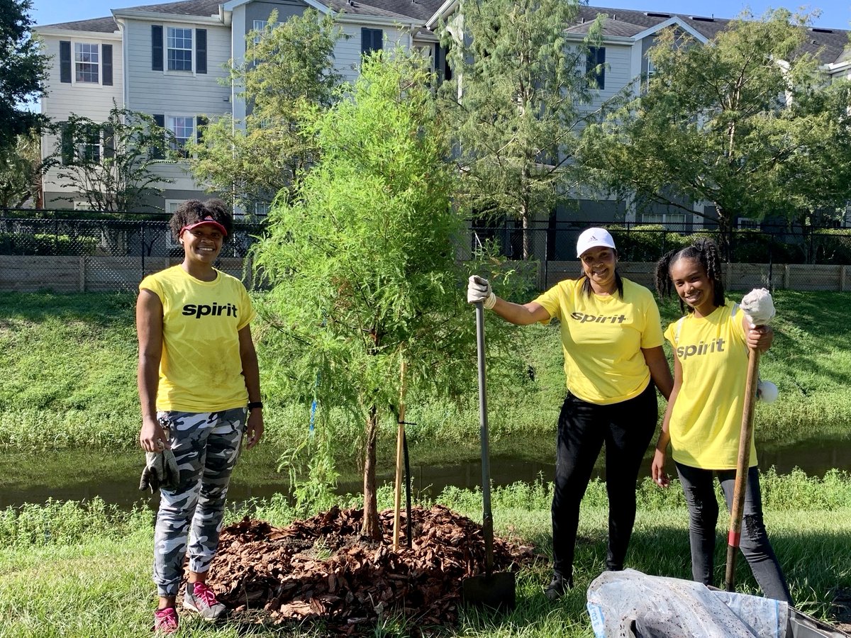 23 new trees now grace Leroy Hoequist Park, thanks to Spirit Airlines Charitable Foundation's generous $25K donation to GreenUp Orlando! Join our staff and volunteers in this mission - let's grow a greener, cooler city together! 🌳💚 🔗: orlando.gov/greenup