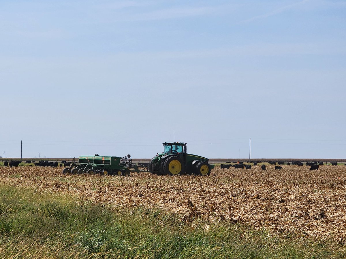 FarmGreer's tweet photo. Great day!  Planting cover crops at the Dudley Smith Farm wth Fred and his cows! We truly appreciate the hard work Curtin's put into getting the corn harvested and cc drilled in September!   Cereal rye, red clover and a vetch+radish mix. @PrezaFontes @MN_DrainDrop @IllinoisNrec https://t.co/RPyQL7YyC3