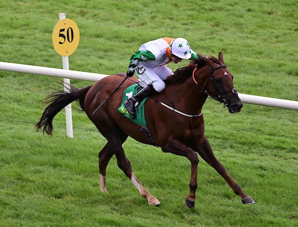 Spanish Tenor secured his second win of 2023 in the Listowel Arms Hotel Handicap under a terrific front running ride from @cianmac01. Many congratulations to the @adomcguinness1 Team and all Shamrock shareholders involved #TopSyndicate #LeadingSyndicate #GetInvolved☘️🚀🇮🇪