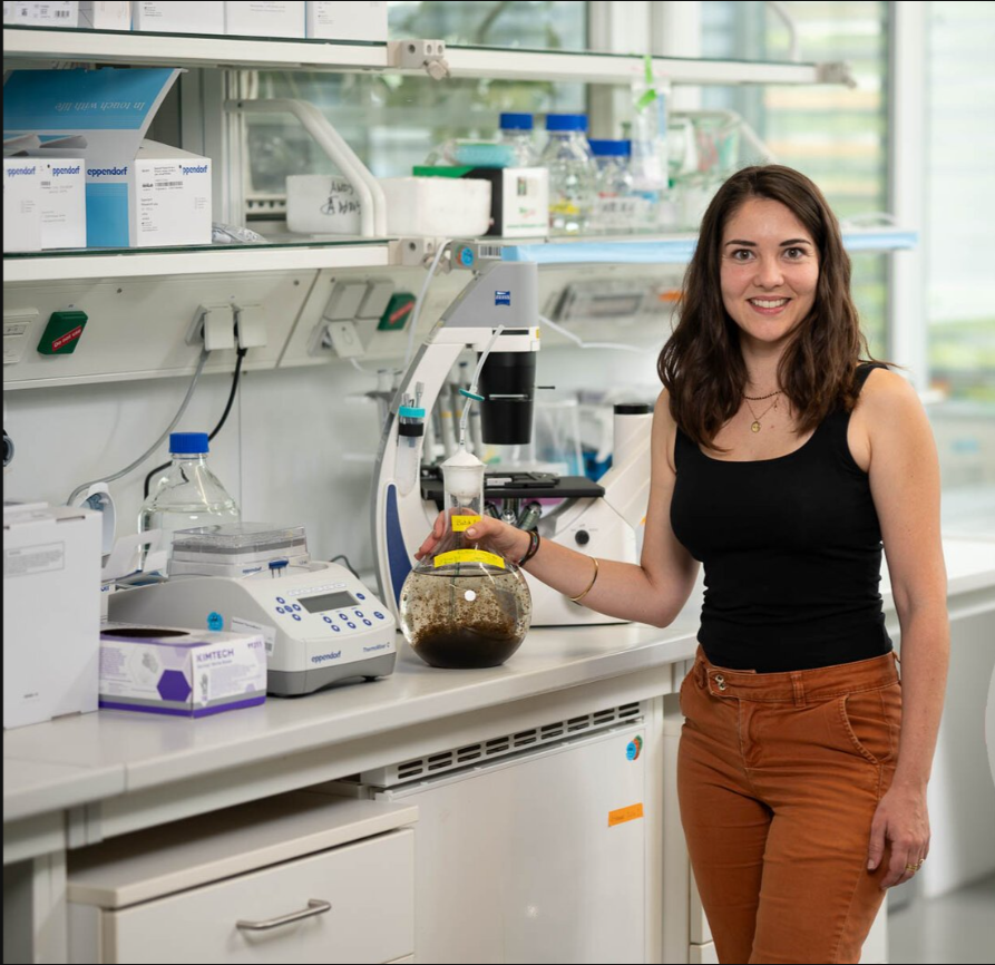 It's #PostdocAppreciationWeek! Delighted to introduce my talented postdoc @CecileMolinier! Cecile is diving deep into the secrets of speciation in brown algae🌊. She is discovering how UV sex chromosomes drive divergence and shape new species! @MPI_Bio @PAW_Germany