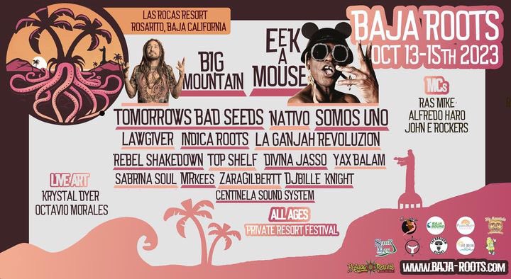 Baja-Roots.com
Code BIGTIME when checking out!