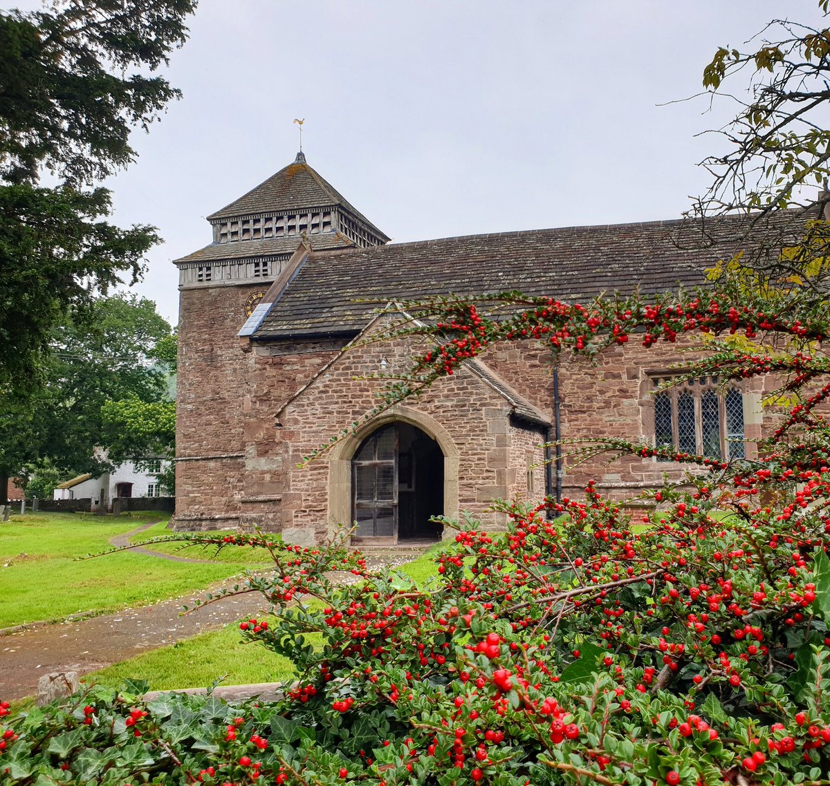 sharonamery's tweet photo. Autumn berries outside St Bridget's Church in #Skenfrith! 🍂 🍁

#Monmouthshire #Wales #Church #ThreeCastlesWalk #NaturePhotography #Trees #Autumn #AutumnVibes #Walking #Exploring #WeekendExploring #WeekendVibes https://t.co/whvBzNdXfC