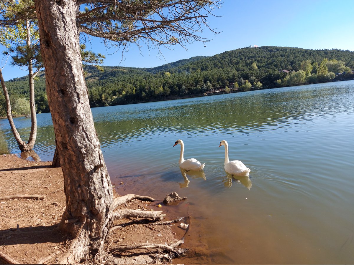 Elay Deniz S.Bağdat tweet media
