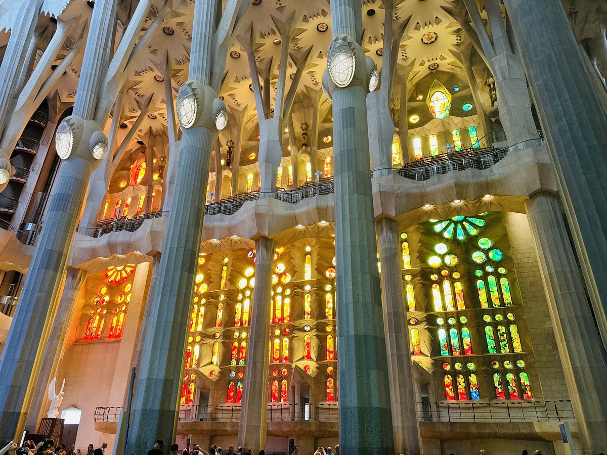 satoshili哲叔 — e/acc tweet media