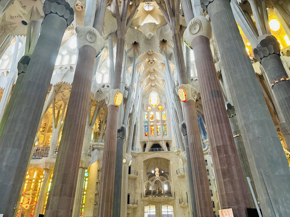 satoshili哲叔 — e/acc tweet media