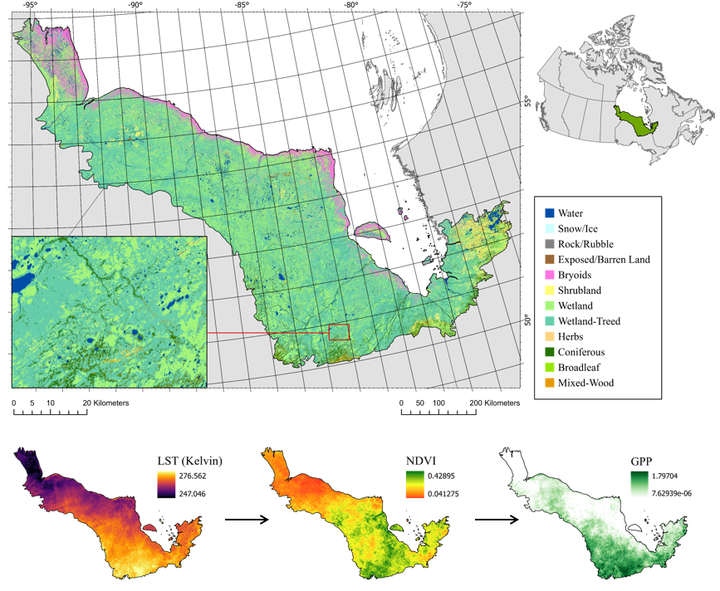 IRSS_UBC's tweet photo. 📢 NEW PAPER! Multisource #RemoteSensing based modeling of vegetation productivity in the #Boreal: Issues &amp; Opportunities

🔓#OpenAccess: https://t.co/YdUYrj0R5H in @tandfonline 

✍️@MelserRamon Coops @mikewulder @C_Derksen
💰@csa_asc 

@ubcforestry #CarbonDynamics #HudsonPlains https://t.co/9ccst4njIa