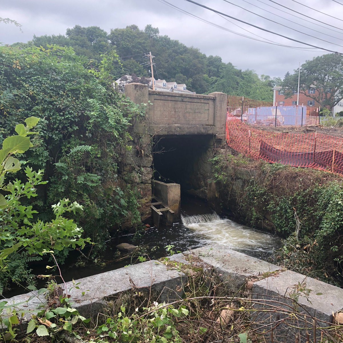 Dam removal supports #ClimateResilience. Many of the 3,000+ dams in Massachusetts are in disrepair & few serve their original purpose. For example, the Holmes Dam in Plymouth was a 200-year-old, 16-ft tall structure that ran along Town Brook & was removed in 2019. #MAClimateWeek