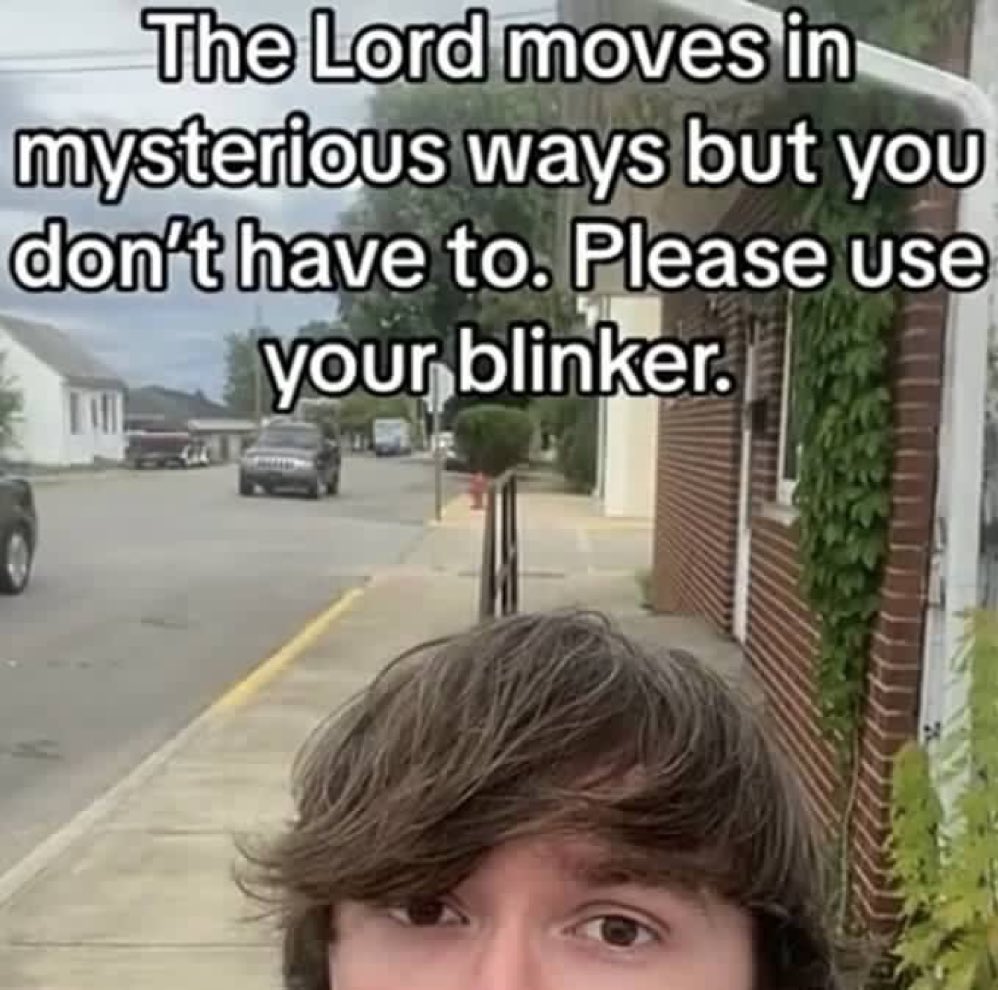 100 memes a day tweet media