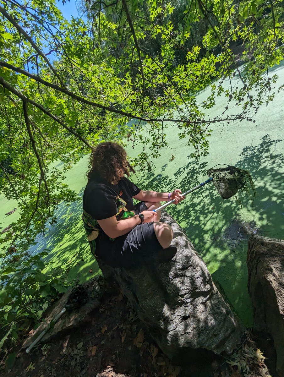 Mrs J Barrowcliff tweet media