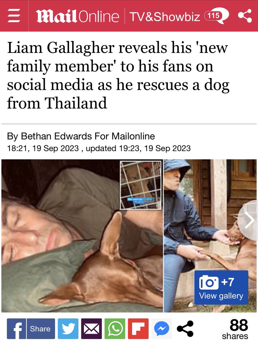 Well done <a href="/liamgallagher/">Liam Gallagher</a> your a good man adopting a rescue dog <a href="/MailOnline/">Mail Online</a>