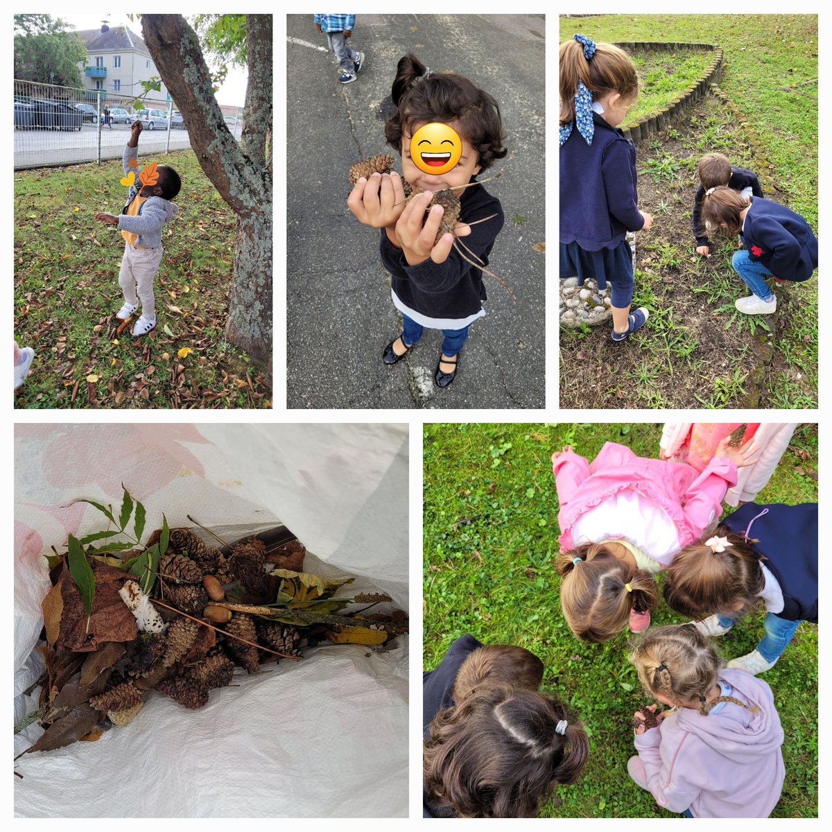 MatresseRoxane2's tweet photo. Ecole du dehors : c'est reparti pour une nouvelle année ! 🌼🌱🌲🌳🦋🐌🐛 Tous les mardis matins pour mes PS / MS.
D'autres adeptes ? 😄
#ecoledudehors #classedudehors #faireclassedehors https://t.co/grD2ajvZWp