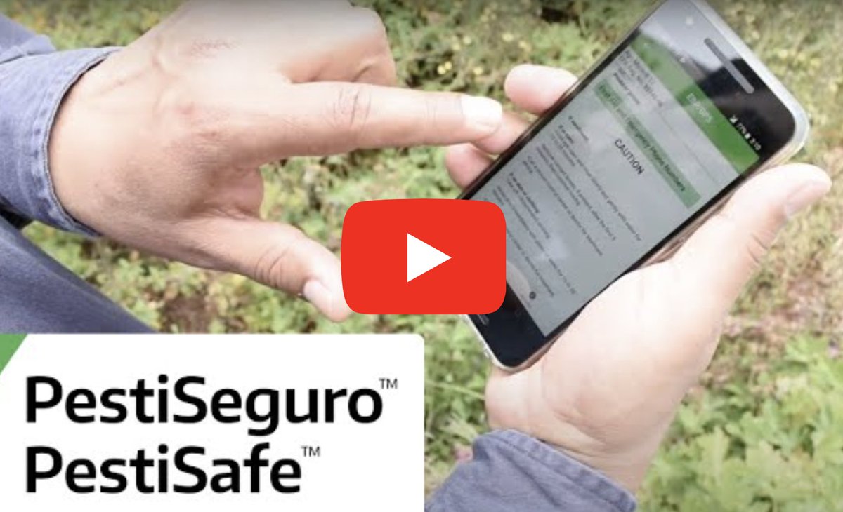 PNASH Center (@pnashcenter) on Twitter photo Pesticide labels are often in English; however, many ag workers speak Spanish and other languages.
⚠️
PNASH developed this bilingual app to make sure workers can understand and safely follow labels: PesiSeguro™/PestiSafe™
bit.ly/nfshw23-pnash-…
#NFSHW23
#NECASAG
<a href="/PNASHCenter/">PNASH Center</a> Pesticide labels are often in English; however, many ag workers speak Spanish and other languages.
⚠️
PNASH developed this bilingual app to make sure workers can understand and safely follow labels: PesiSeguro™/PestiSafe™
bit.ly/nfshw23-pnash-…
#NFSHW23
#NECASAG
<a href="/PNASHCenter/">PNASH Center</a>