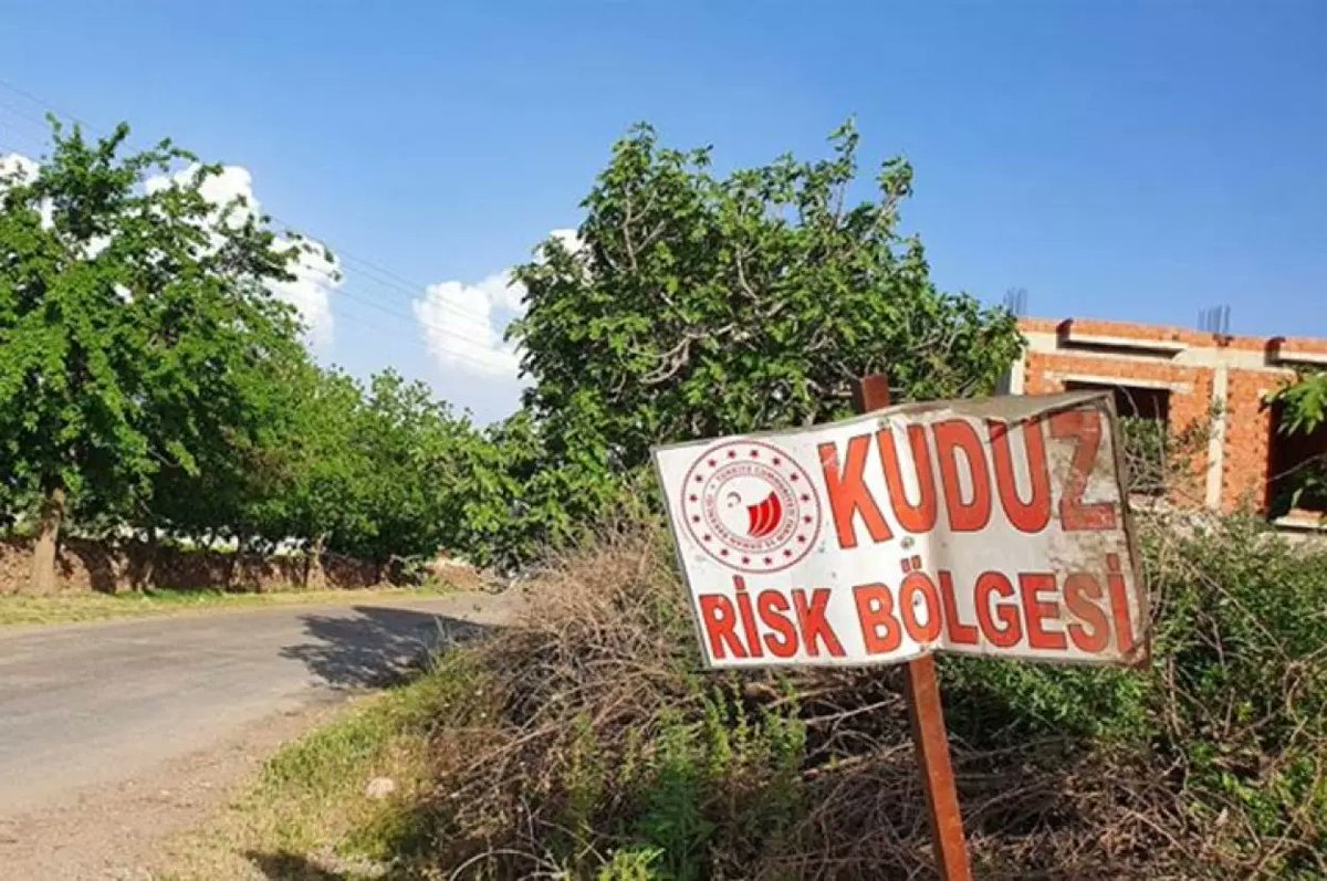 Kuduz vakaları artıyor: Artvin'de 3 köy 6 aylığına karantinaya alındı!

trhaber.com/genel/kuduz-va…