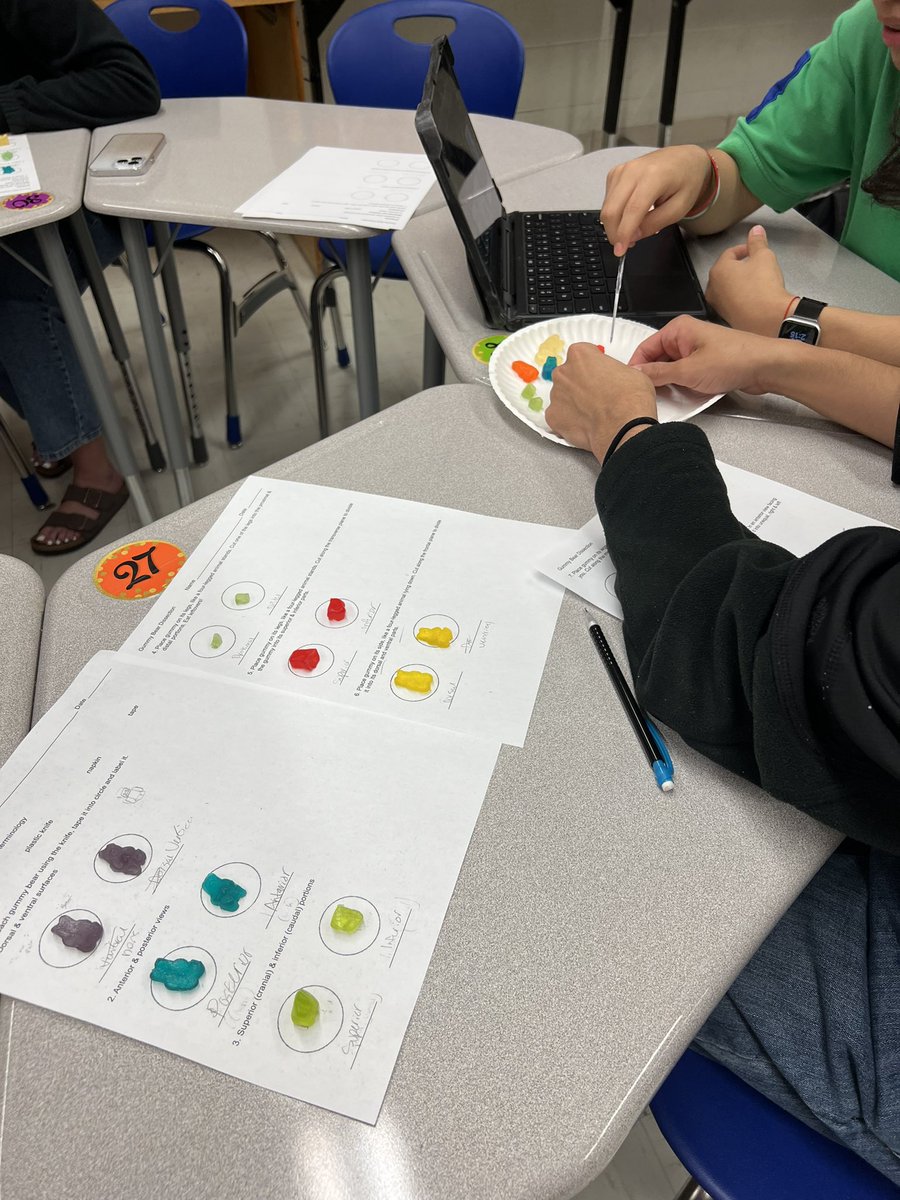 McHi Medical Terminology students dissecting gummy bears to understand basic anatomical concepts. <a href="/McAllenISDCTE/">McAllen ISD CTE</a> <a href="/McAllenISD/">McAllen ISD</a> <a href="/McHiPride/">Dr. Albert Canales</a> <a href="/McHiCTE1/">Mirtha N. Jimenez</a>