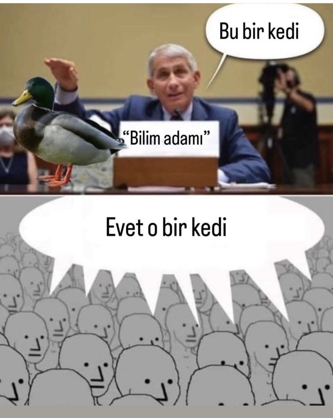 Resim
