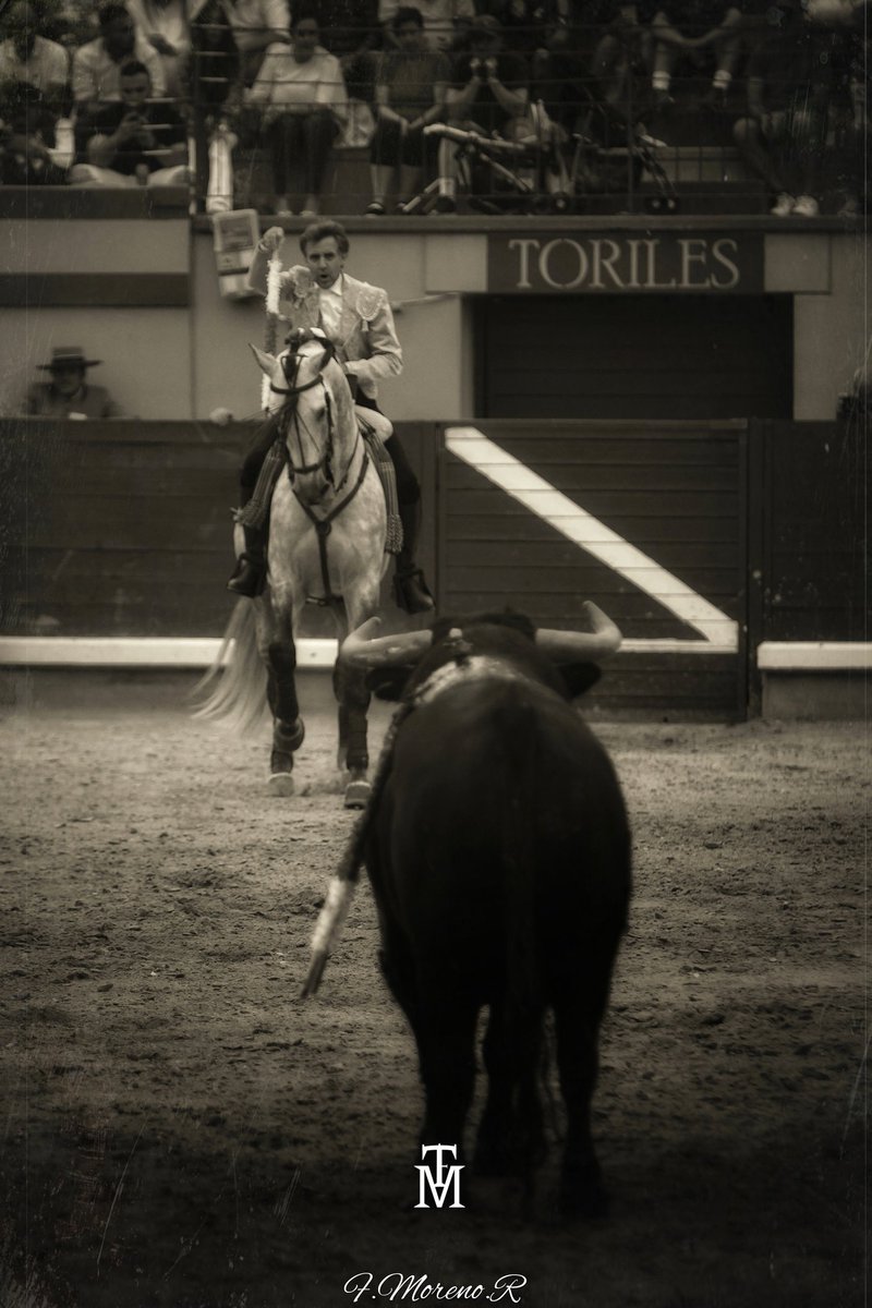 De frente,siempre...
Yo me entiendo. 
Portarse bien. 

#Encierros2023 #AlmodovardelCampo #Eltoro #Mividaenunafoto
#Momentos #Detalles #FotografíaTaurina #FMorenoR #ByN #BlancoyNegro #Sepia #Afitauro   @pablohermosonet