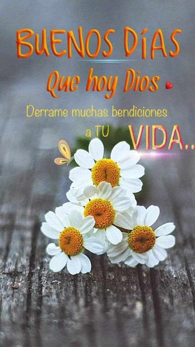 Andy Bernal (@andybernalk) on Twitter photo 