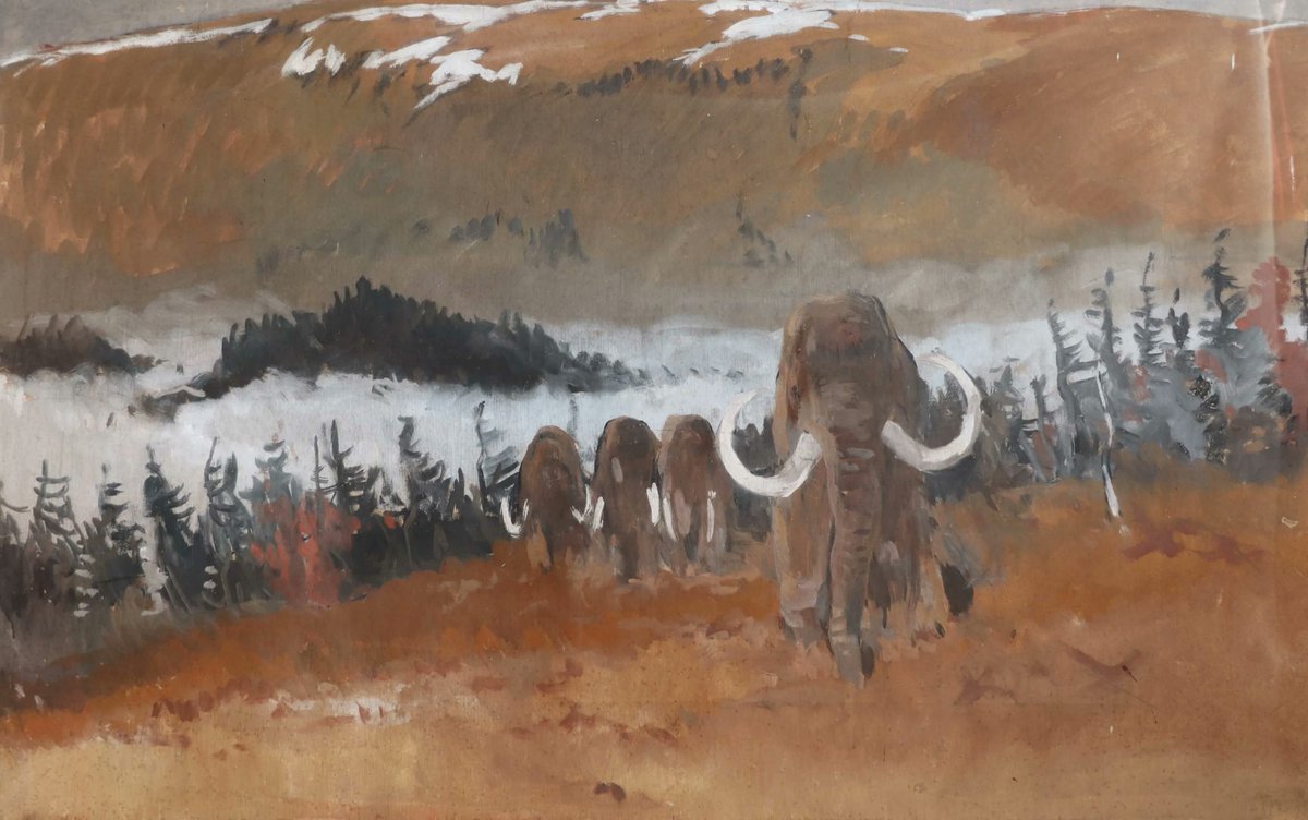 Mathurin Méheut tweet media