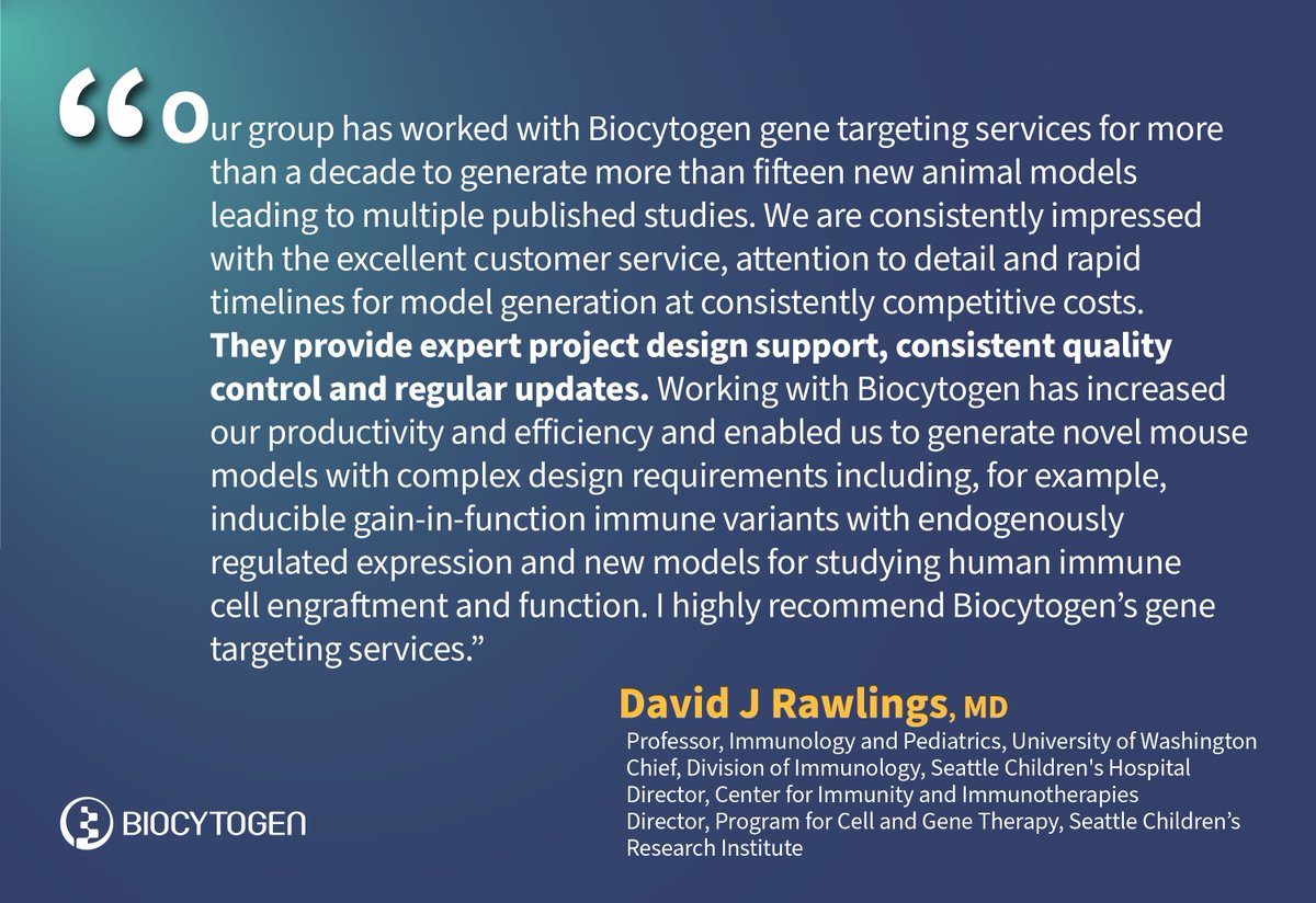 Did you know that we've been honored with numerous testimonials from our esteemed partners? One such testimonial comes from Dr. Rawlings' group, a valued collaborator who has closely partnered with our gene targeting team👉biocytogen.com/gene-editing/ #Testimonial #GeneTargeting