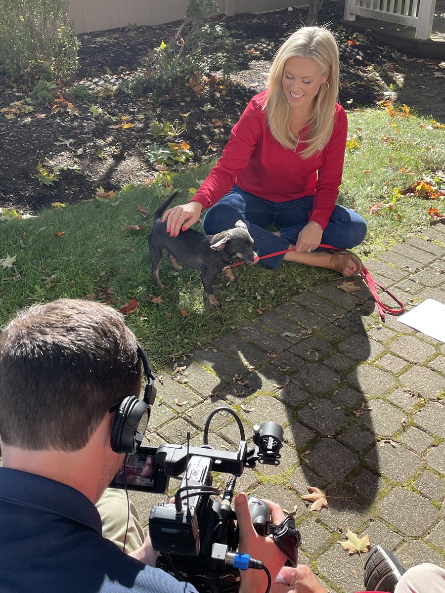ShannonHegy's tweet photo. Sunshine and puppy promo shoots = solid Tuesday at the office 

Be on the lookout for this year’s spot (featuring the adorable “Paisley”) highlighting the Heart &amp; Sole Walk for the Animals 

More details at https://t.co/Nmf2CZVhIi 

@wpri12 @PotterLeague https://t.co/MqhhC3kQY8