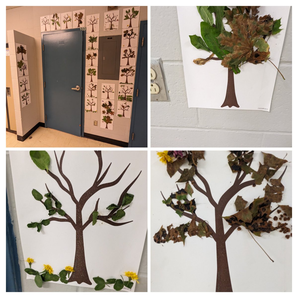 Lilly Regular tweet media