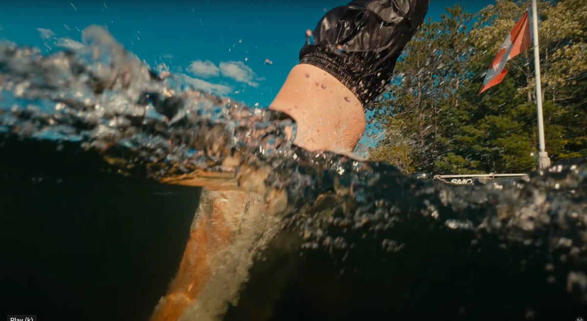 Tyler Stalman tweet media