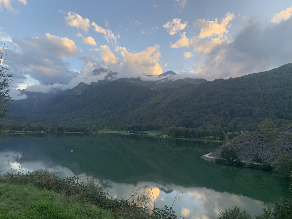 twcallow's tweet image. Where’s tezza?