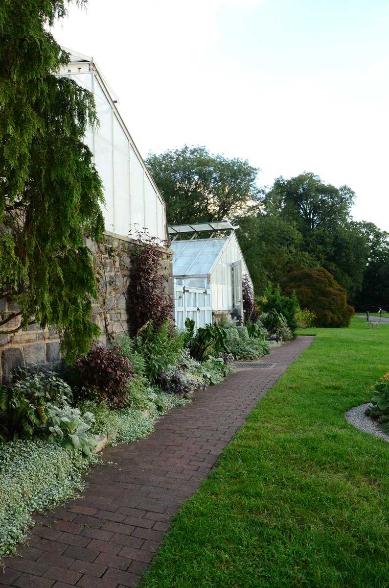 Wave Hill tweet media