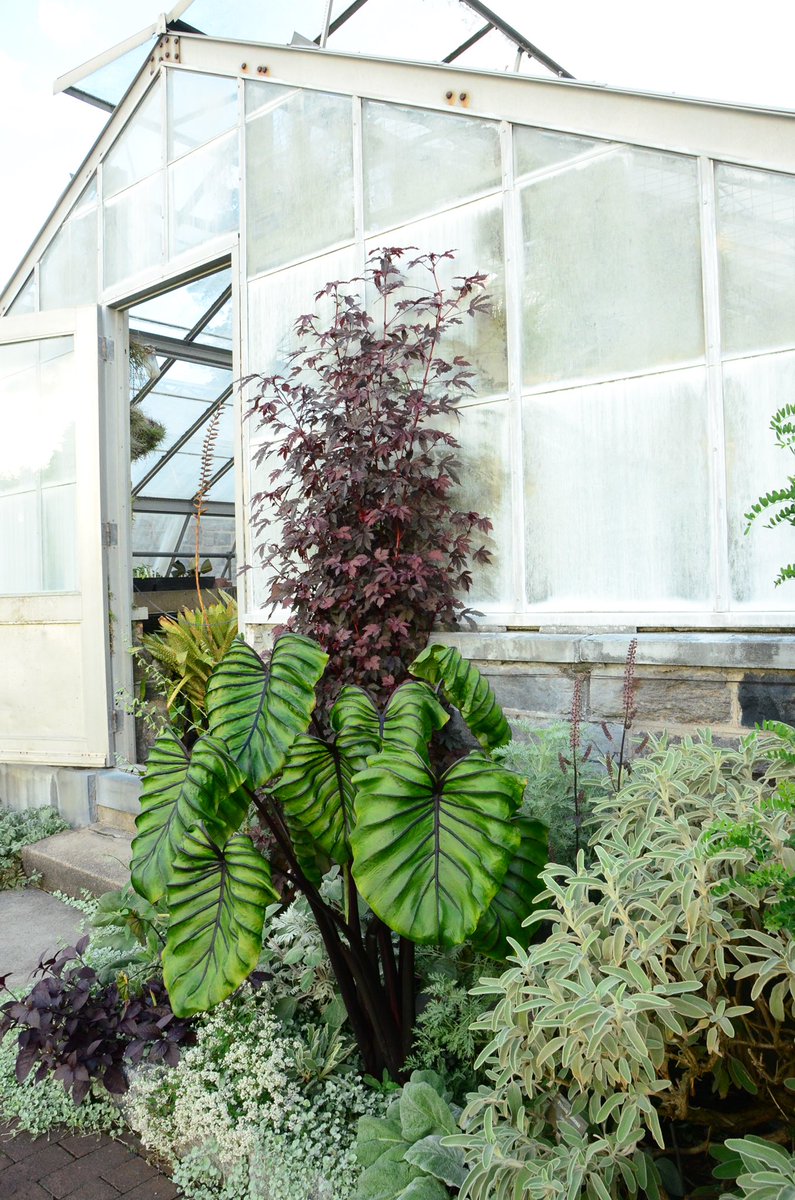 Wave Hill tweet media