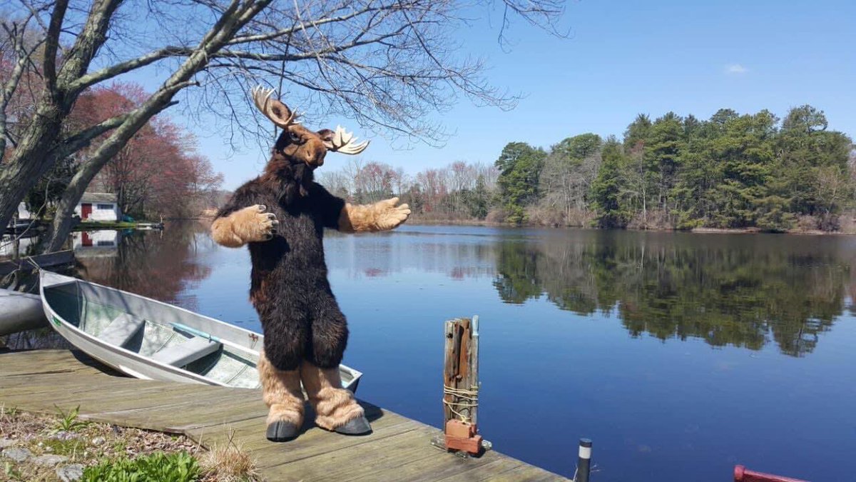 Well… shit. My storage unit was broken into and my moose is gone…