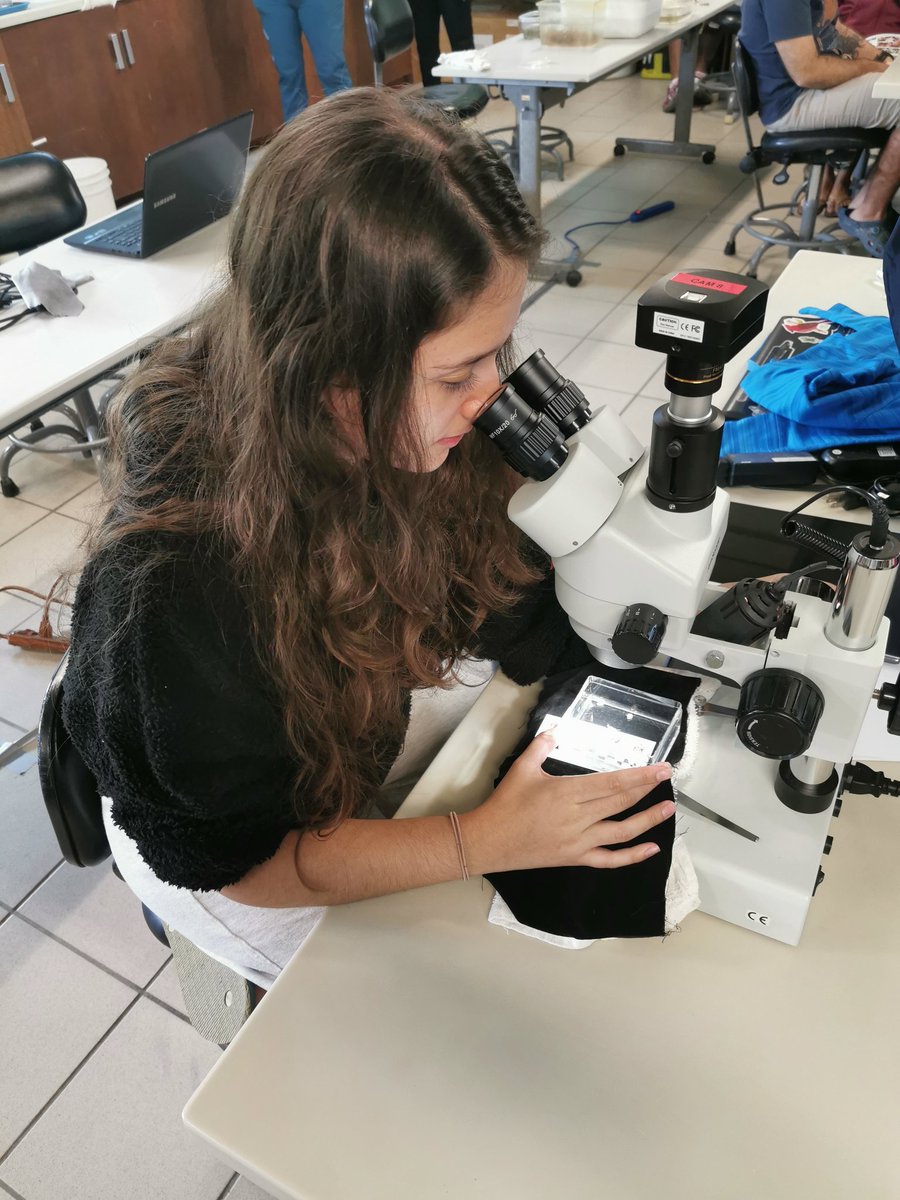 BocasStation's tweet photo. On the second Course day, we visited Punta Caracol, where participants got some samples to identify. All are doing their best to learn more about Opisthobranchs🔬
Video by SeathisCo(Instagram) https://t.co/60NPEQyjV8
