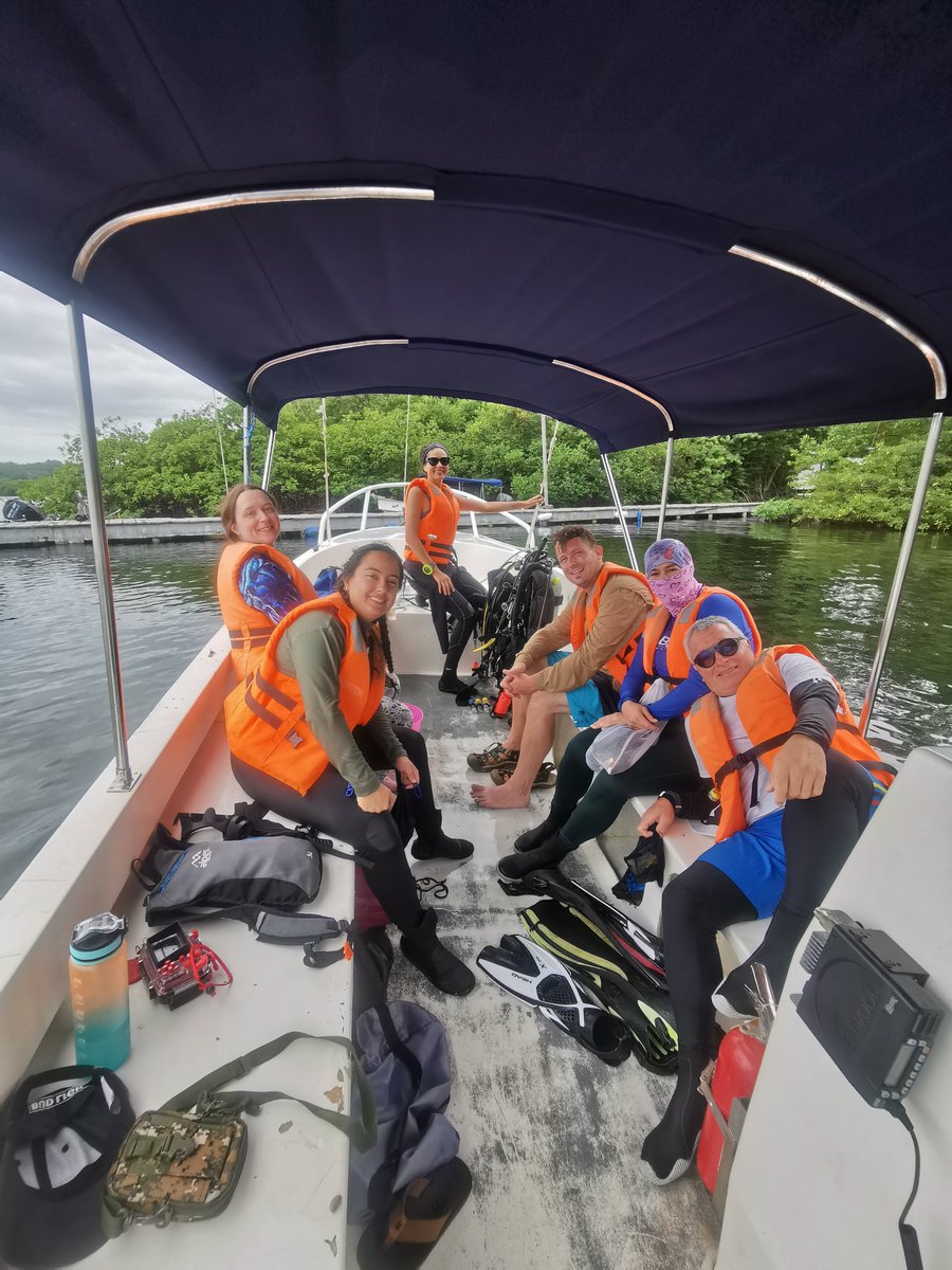 BocasStation's tweet photo. On the second Course day, we visited Punta Caracol, where participants got some samples to identify. All are doing their best to learn more about Opisthobranchs🔬
Video by SeathisCo(Instagram) https://t.co/60NPEQyjV8
