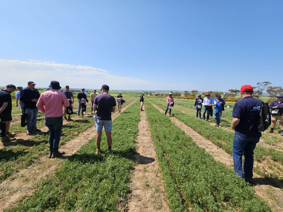 GGA study tour Day 2
Hart Field Day. Well run, very well presented site.
Herbicide safety and pre em options. Dr Chris Preston talking about cropping without Glyphosate - doable but expensive!
Lentils a huge profit driver. 
Cracking day! 
@GGA_WA @GRDCWest #WADroughtHub