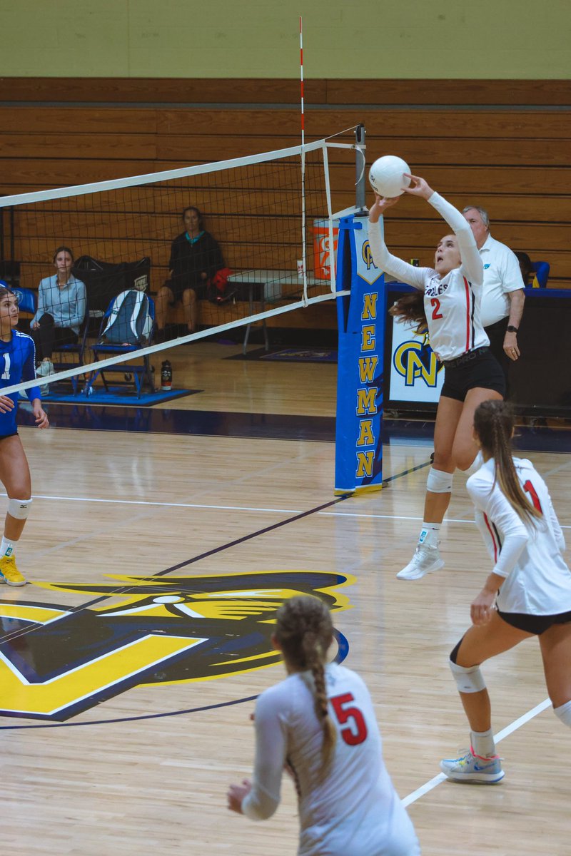 Effective Sports Media tweet media