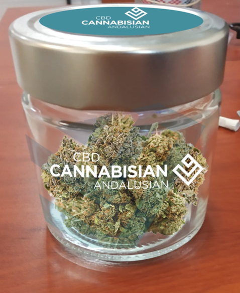 CBDCannabisian's tweet photo. Das #Cannabis bei immer mehr #Krankheiten eingesetzt wird, steht ausser Frage. #CBD das von der #Cannabispflanze gewonnen wird kann hierzu eine große Hilfe sein und ist ohne #Rezept beziehbar. Weitere Infos über CBD, seine Herstellung und Wirkung auf: https://t.co/RNPbHpZ9bg https://t.co/xForCPougu