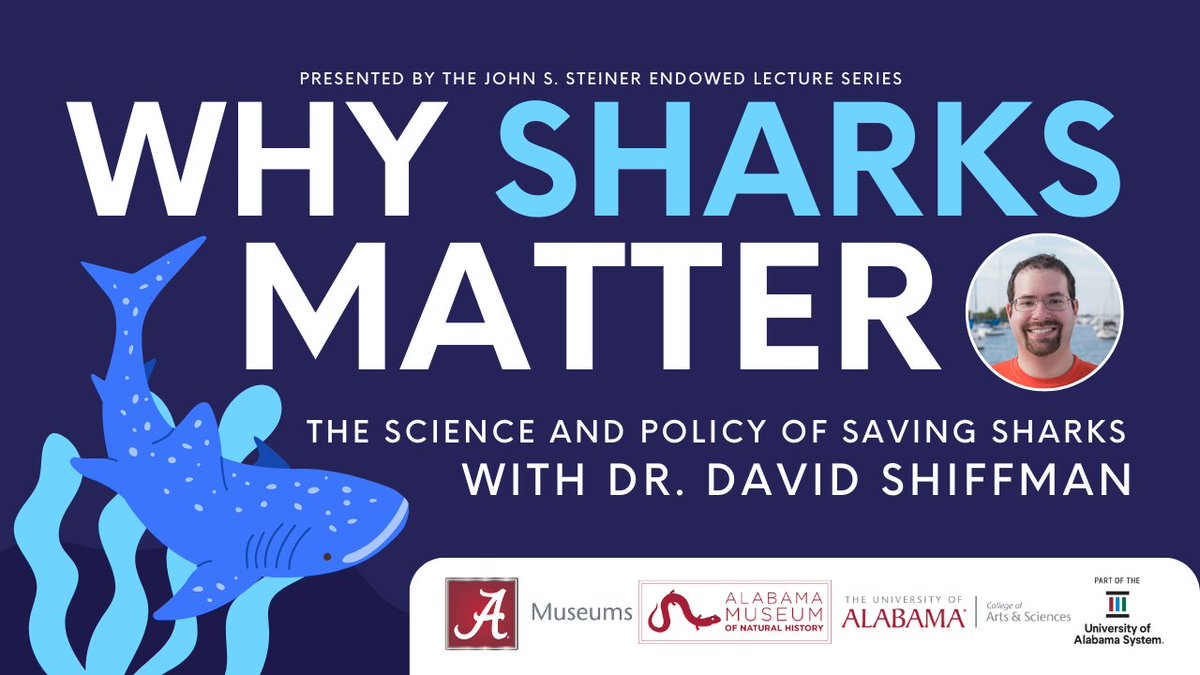 UAMNH's tweet photo. If you missed @WhySharksMatter's talk at @UofAlabama for The John S. Steiner Endowed Lecture Series, you can watch the recording of it now on the @uamuseums' @YouTube channel!

WATCH HERE: ➡️ https://t.co/TYTrHPsp5t

#Shark #Sharks #WhySharksMatter #UniversityOfAlabama https://t.co/6mmyfjVMDT