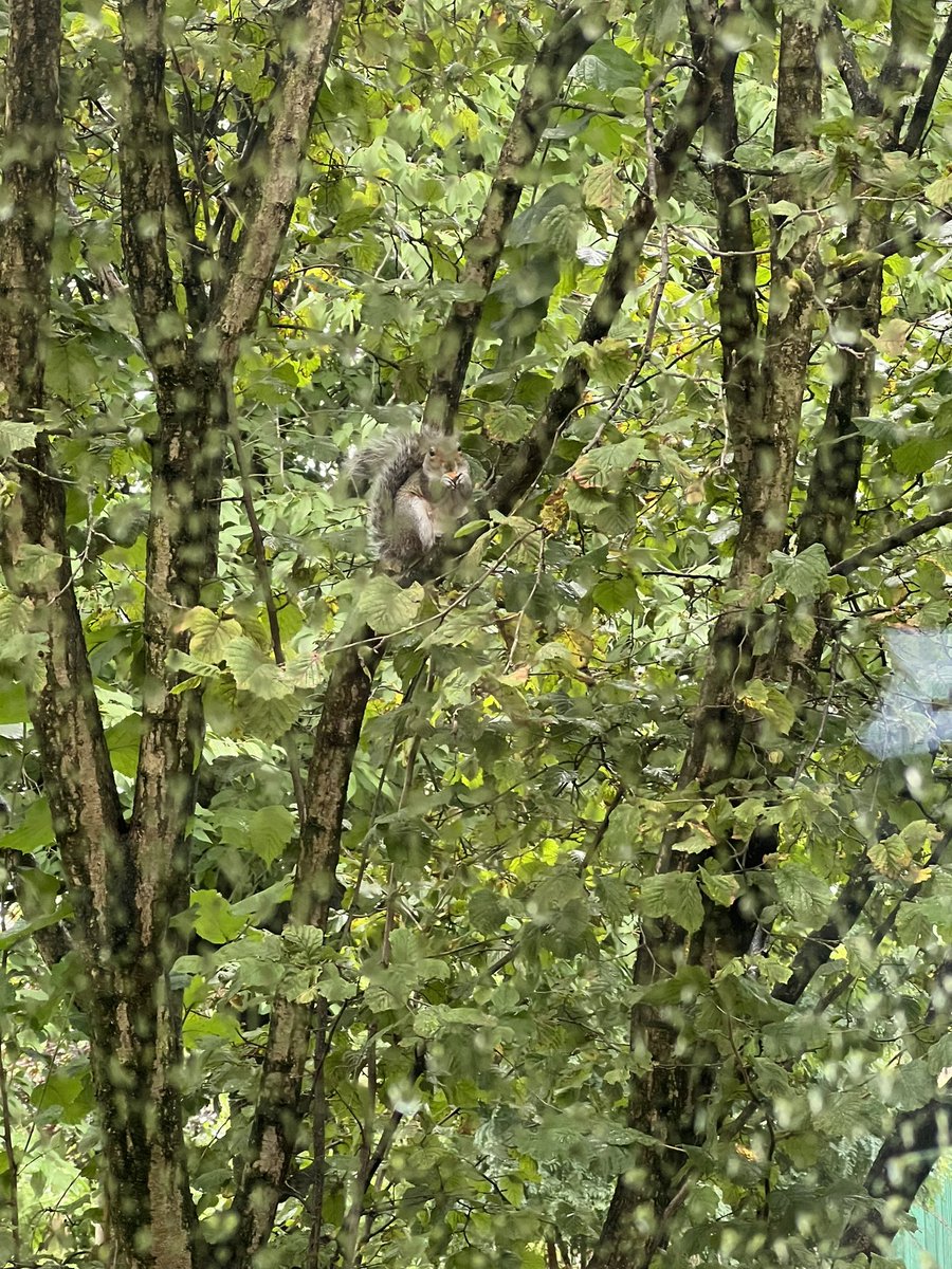 Mrs Richardson tweet media