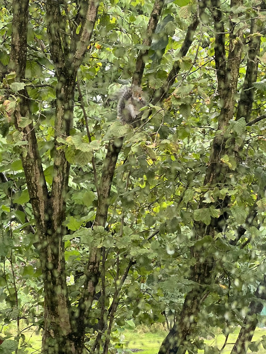 Mrs Richardson tweet media