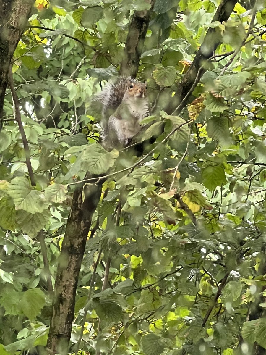 Mrs Richardson tweet media