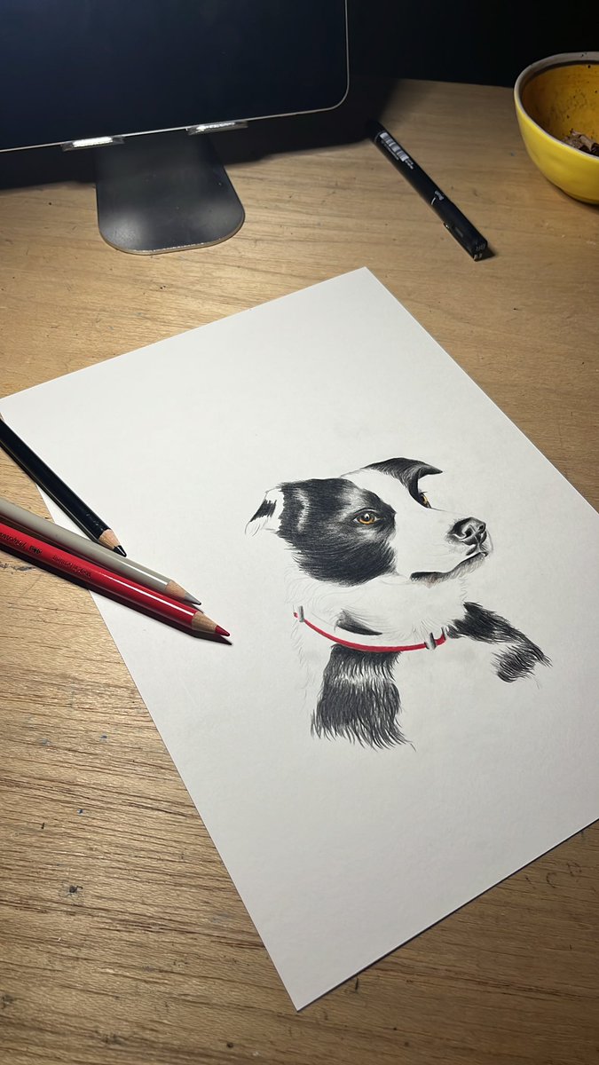 Another work in progress 🐶 #belfastart #freelance #dogportrait