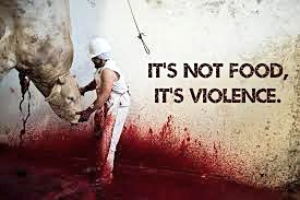 It's not food, it's violence #plantbased #govegan #AnimalRights #vegan #nomeat #veganism #crueltyfree #endspeciesism #veganfortheanimal #nomilk #veganrevolution #vegano #empatia #AnimalLovers #nonviolenza